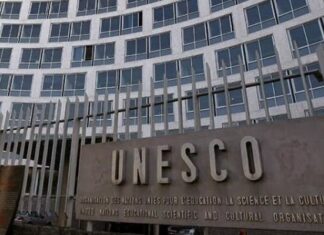 ЮНЕСКО реализует более 20 проектов в Украине: что планируют дальше