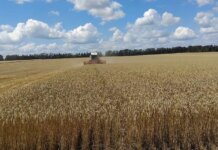 В Харьковской области стартовал прием заявок на субсидии для аграриев