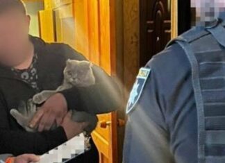 В Харькове дельцы делали права на автобусы, пьяницам, которые лишены прав