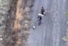 Убийство и террор для пропаганды: на Харьковщине россияне убили спасавшихся под белым флагом мирных людей и собаку, — ФОТО