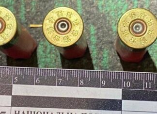 Расстрелял и закопал: житель Харьковского района жестоко убил собаку, — ФОТО