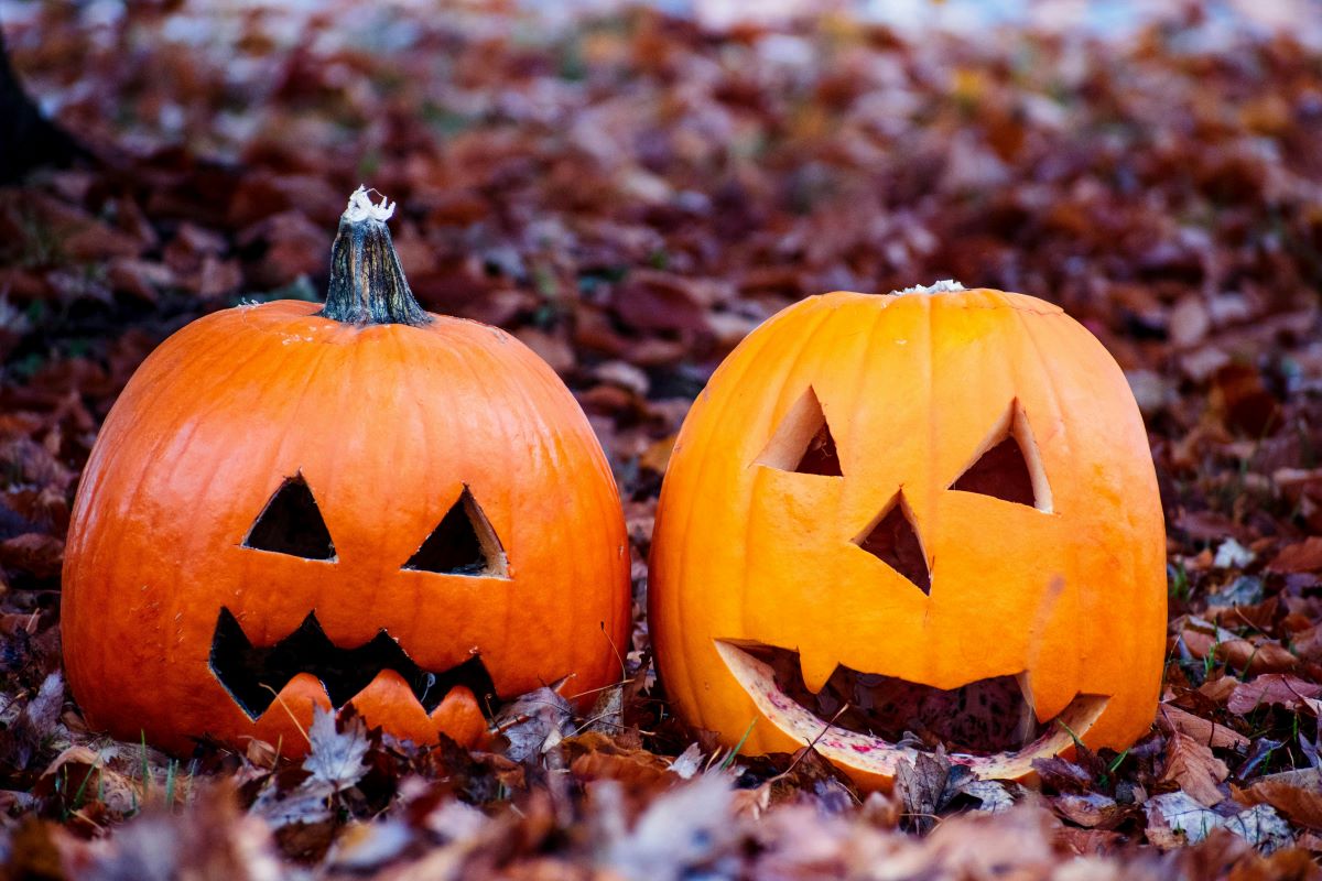Принесет много вреда: почему нельзя оставлять тыквы на улице