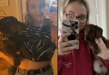 Женщина приобрела маленького щенка мелкой породы: она была шокирована, когда собака выросла