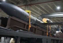 Миндич хотел получить 50% компании, производящей ракеты «Фламинго», — совладелец Fire Point