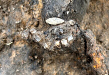 Золото, украшения и монеты: археологи нашли богатое захоронение римской эпохи во Франции (фото)