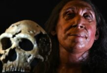 Была ли у неандертальцев своя религия: что выяснили ученые