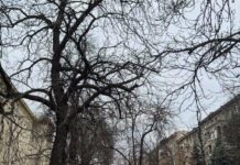 Прогноз погоды в Харькове на 26 ноября: облака и мягкий ветер.