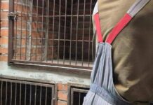 Есть старые одеяла и ковры? Отдайте их животным