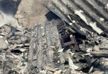 В Харьковской области мужчина сгорел в собственном доме