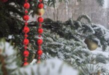 Чтобы не воровали детство и мотивация ВСУ: Терехов объяснил, зачем во время войны украшают Харьков