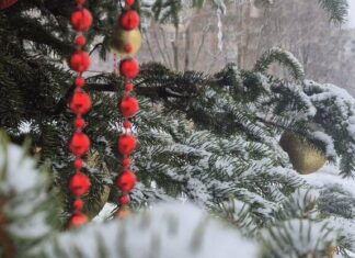 Чтобы не воровали детство и мотивация ВСУ: Терехов объяснил, зачем во время войны украшают Харьков