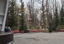 Прогноз погоды в Харькове на 7 декабря: облака и умеренная температура.