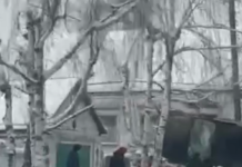 Машина вылетела на другую, перелетела забор на застрявшую на стволе: ужасное ДТП под Харьковом, — ФОТО