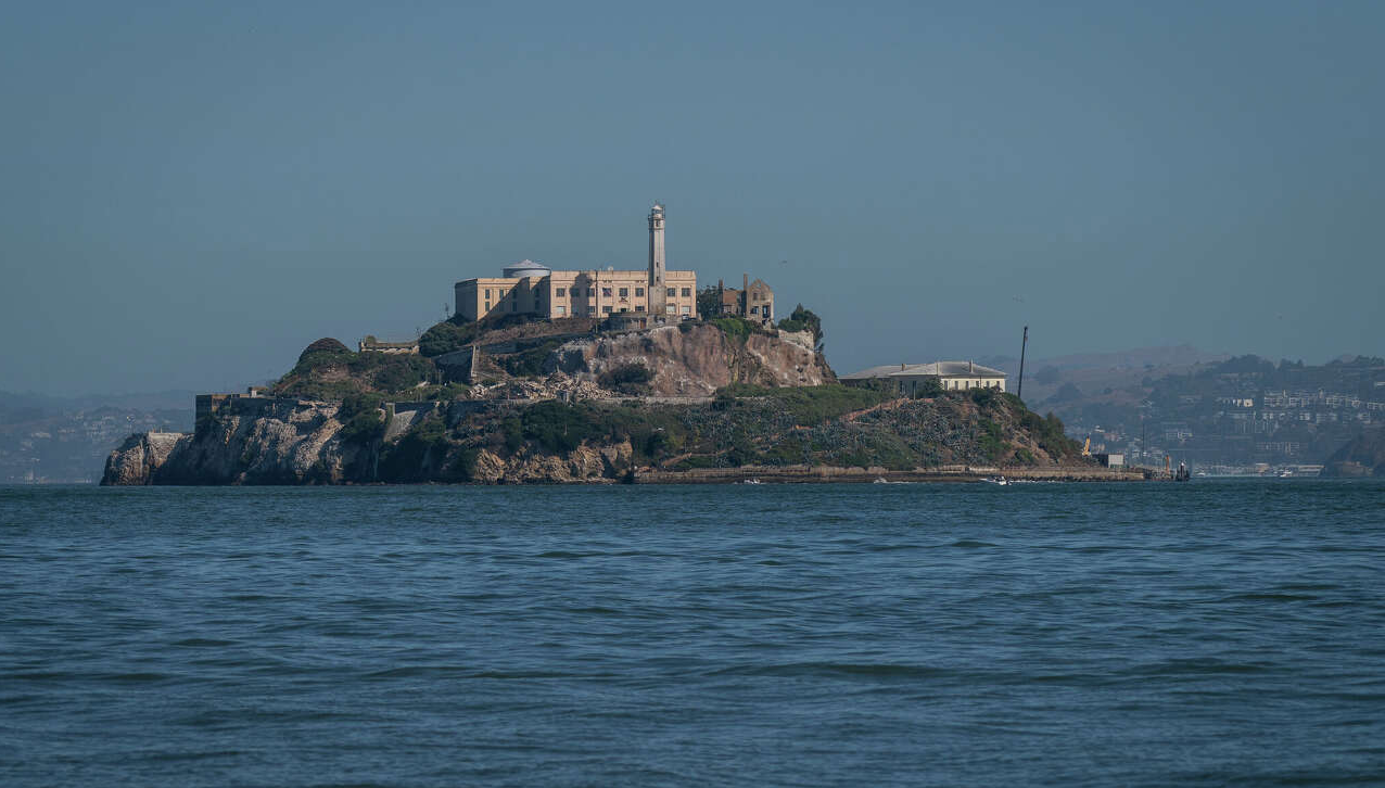 Таинственное появление у Алькатраса: туристов поставил в тупик загадочный гость (видео)