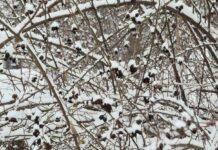 Прогноз погоды в Харькове на 7 января: дождь.