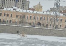 Какая будет погода в Украине и Харькове на следующую неделю: холод, антициклоны и ожидание потепления