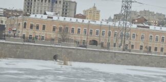 Какая будет погода в Украине и Харькове на следующую неделю: холод, антициклоны и ожидание потепления