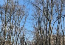 Прогноз погоды в Харькове на 21 февраля: холодный, но ясный день.