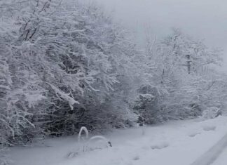 Морозы до -18° и шквальный ветер: в Харьковской области объявили желтый уровень опасности