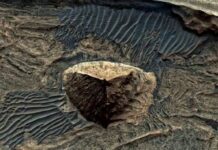 NASA обнаружило огромную пирамиду на Марсе: похожа на Великую пирамиду Гизы в Египте (фото)