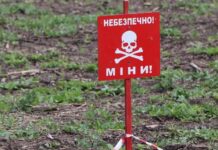 Вблизи Харькова мужчина взорвался на взрывчатке: последствия взрыва