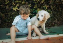 Какую собаку завести, если в семье есть ребенок: ветеринары назвали наименее агрессивные породы (фото)