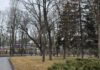 Прогноз погоды в Харькове на 29 марта: весеннее потепление и облачность.