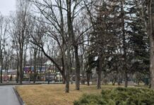 Прогноз погоды в Харькове на 29 марта: весеннее потепление и облачность.