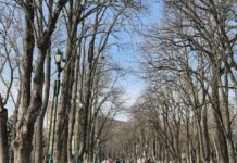 Прогноз погоды в Харькове на 5 марта: сильный снег и температура около нуля.