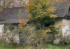 Женщина купила дом в селе, а потом снесла его бульдозером (фото)