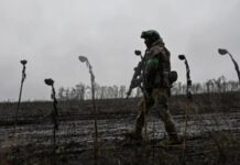 Бросили в дождь «значительные силы»: ВСУ за двое суток уничтожили роту россиян под Покровском (видео)