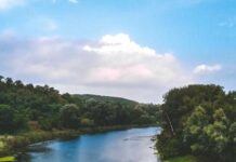 Раздали и перепродали: в Харьковской области через суд отбирают 18 гектаров у реки