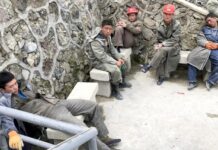 «Без перерывов»: сотня тысяч северных корейцев работают в РФ за 10 долларов в месяц, — Fox News