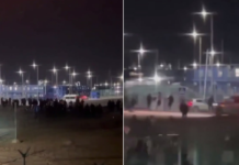 Авто охраны влетело в толпу: в порту Усть-Луга в РФ произошел бунт рабочих (видео)