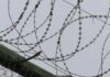 Нож и детские колготки: в Харьковской области женщина убила ребенка, отсидела, забеременела и зарезала мужчину