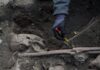 На Ровенщине закончили раскопки: нашли ли жертв Волынской трагедии