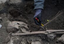 На Ровенщине закончили раскопки: нашли ли жертв Волынской трагедии