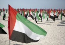 ОАЭ пообещали присоединиться к оборонной миссии США в Ормузском проливе