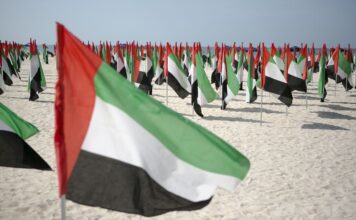 ОАЭ пообещали присоединиться к оборонной миссии США в Ормузском проливе