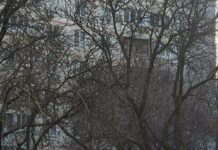 Мокрый снег и гололедица на подходе: синоптики предупреждают харьковчан