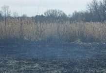 Огонь в самом центре города Харьковской области: что стало причиной масштабного пожара