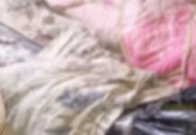 Двойная кровавая расправа: убийцы с Харьковщины скрылись в Житомире с арсеналом оружия