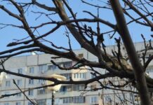 В Харькове будет снег: в Украину идет похолодание