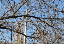 Прогноз погоды на неделю: весна заявит о себе громче.