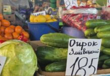 Редис и огурцы по цене мяса: в этом году весенние овощи в Харькове значительно дороже прошлого года