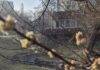 Погода на неделю: пока тепло, но на Вербное воскресенье будет холодно и дождь