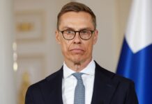 Россию раздражала поддержка Украины со стороны Стубба, — отчет финского правительства