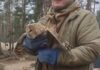 Смертельная сетка: в Харьковской области полицейские вырвали сову из антидроновой ловушки