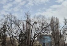 Предупреждение о заморозках: погода в Харькове