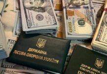 Взятки под кодом «пенсионный фонд»: как на Харьковщине должностное лицо разводило заказчиков древесины, — ФОТО